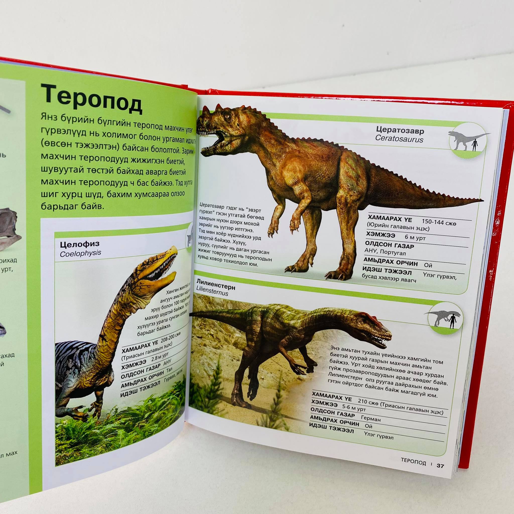 Өврийн нэвтэрхий толь:Үлэг гүрвэл | МИРНОМ